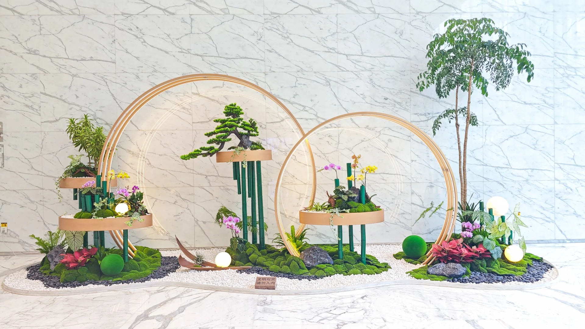 专业植物租赁，点亮宁波鄞州的每处角落