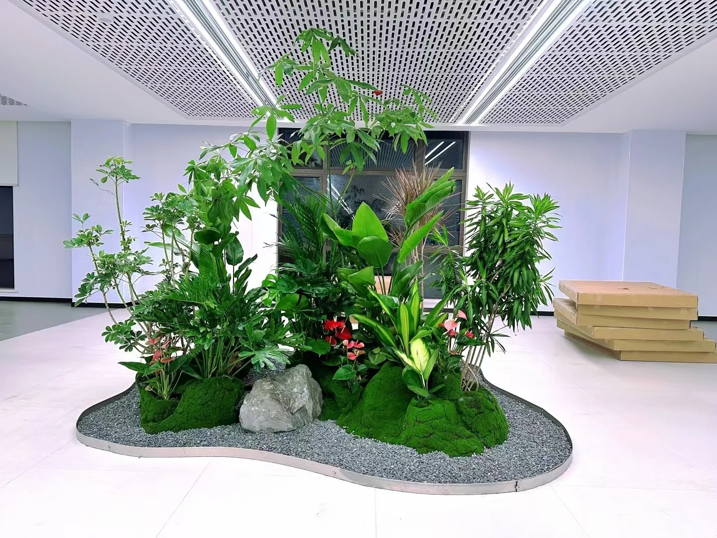 专业植物租赁，点亮宁波鄞州的每处角落